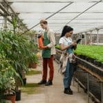 it support for agriculture